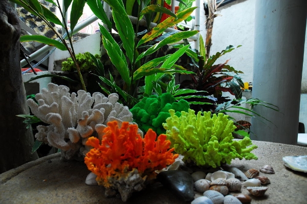 Hotel Posada Bahía Azul (San Juan del Sur)